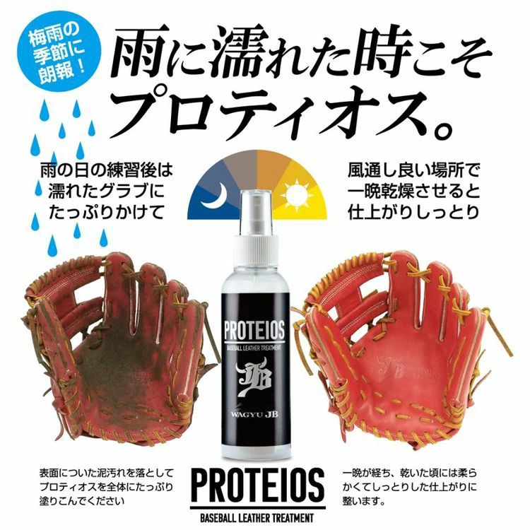 和牛JB WAGYU JB プロティオス詰め替え