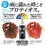 和牛JB WAGYU JB プロティオス