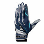 ミズノプロ MizunoPro バッティンググローブ ネイビー×シルバー 一般 1EJEA847