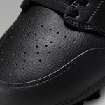 ナイキ NIKE ポイントスパイク ハイカット 大人用 FJ6805-001