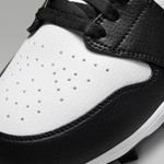 ナイキ NIKE ポイントスパイク ハイカット 大人用 FJ6805-100