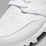 ナイキ NIKE ポイントスパイク ハイカット 大人用 FJ6805-101