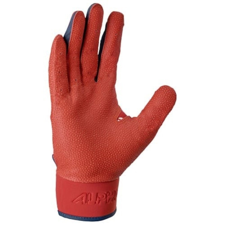 NIKE ナイキ アルファバーシティ バッティング手袋 大人用 HJ3150-192