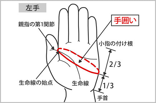 画像代替テキスト